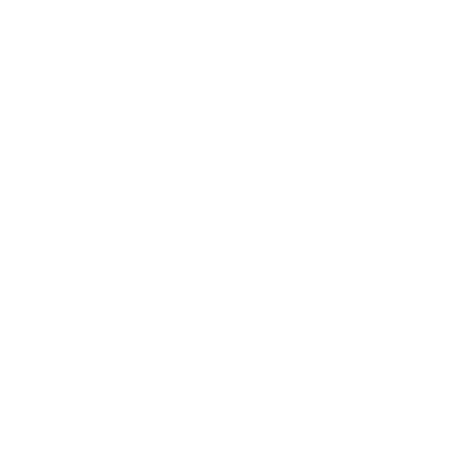 Chip Icon